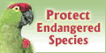 The Ecology Fund - Free