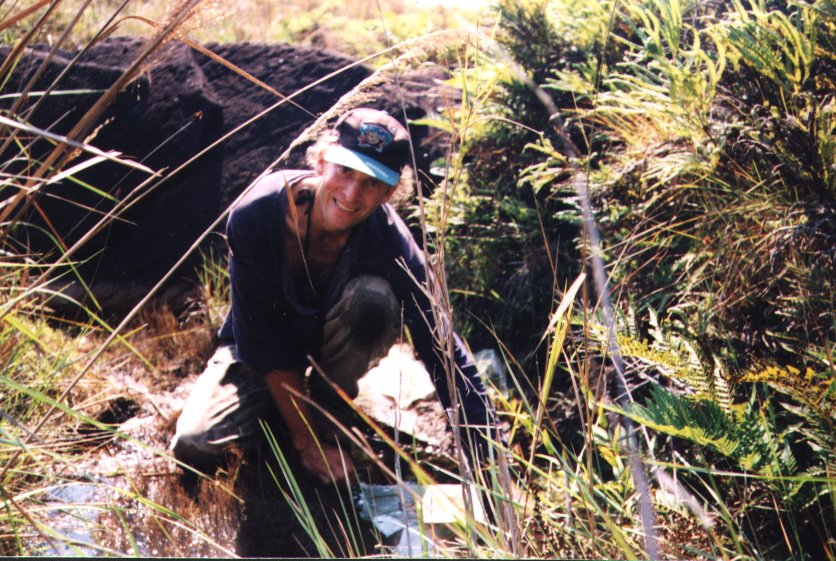 Collecting in a streamside marsh on the Serran&iacute;a de Huanchaca, 1997 ("The Lost World")
